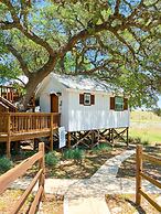 The Alexander at Creek Road