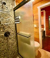 The Alexander at Creek Road