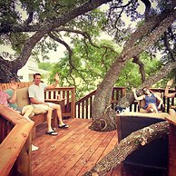 The Alexander at Creek Road