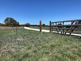 The Alexander at Creek Road