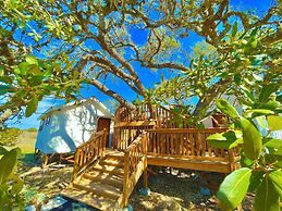 The Alexander at Creek Road