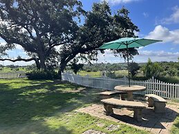 The Alexander at Creek Road