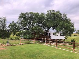 The Alexander at Creek Road