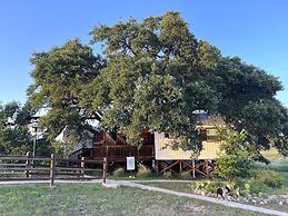 The Alexander at Creek Road