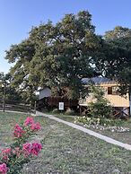 The Alexander at Creek Road