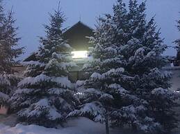 Pensiunea Poiana Cristian