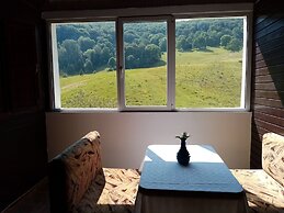 Pensiunea Poiana Cristian