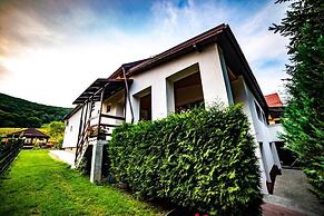 Pensiunea Poiana Cristian