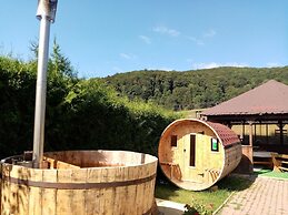 Pensiunea Poiana Cristian