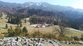 Pensiunea Poiana Cristian