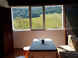 Pensiunea Poiana Cristian