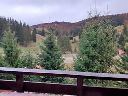 Pensiunea Poiana Cristian