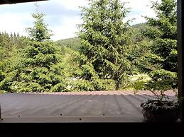 Pensiunea Poiana Cristian