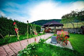 Pensiunea Poiana Cristian