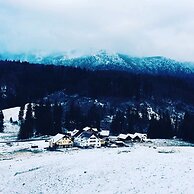 Pensiunea Poiana Cristian