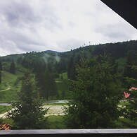 Pensiunea Poiana Cristian