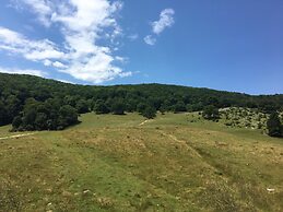 Pensiunea Poiana Cristian