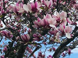 Prodigal Daughter Gourmet Lodge