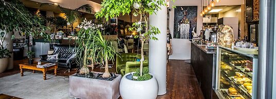 Tuatara Lodge - Hostel