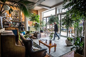 Tuatara Lodge - Hostel