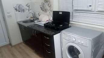 Apartment on Tsinamdzgvrishvili St.