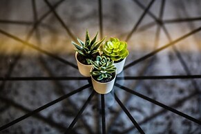 Marcius Luxury Apartment