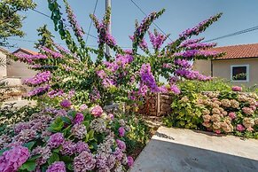 Apartment Bugenvilia