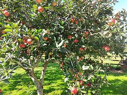 Tig na Coille B&B Country House
