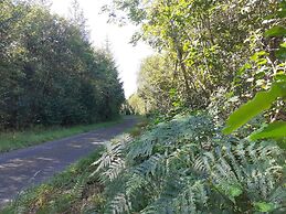 Tig na Coille B&B Country House