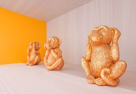 Attico di Via d'Azeglio