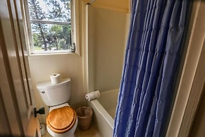 4851 Dolphin Lane - M