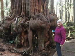 The Great Escape-Shirley with Hot Tub