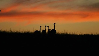 Estancia Anastasio by Folk