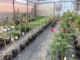 Dalat Chocolate Homestay