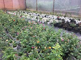 Dalat Chocolate Homestay