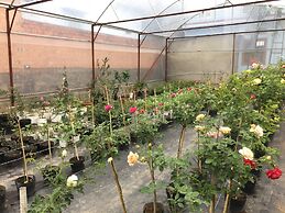 Dalat Chocolate Homestay