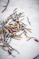 Adventure Bay Retreat