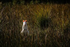 Adventure Bay Retreat