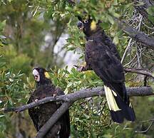 Adventure Bay Retreat