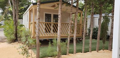 Camping La Croix du Sud