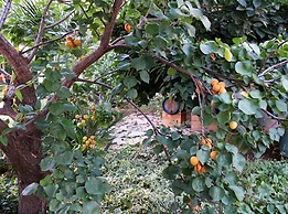 B&B IreneMarchese - Gluten Free