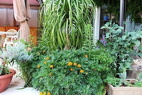 B&B IreneMarchese - Gluten Free