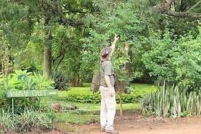 Barefoot Lodge and Safaris - Malawi - Campsite