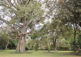 Barefoot Lodge and Safaris - Malawi - Campsite