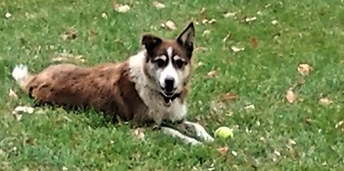 Canyon View Family Lodge