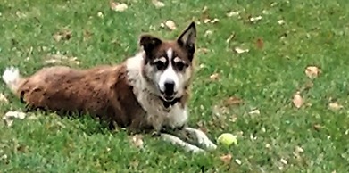 Cozy Mountain AfriCabin