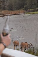 Buff & Fellow Eco Cabins
