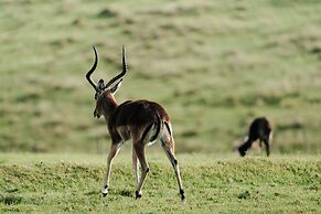 Buff & Fellow Eco Cabins