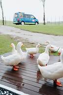 Buff & Fellow Eco Cabins