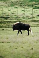 Buff & Fellow Eco Cabins